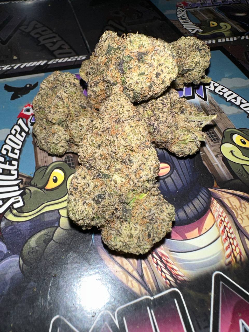 ๐พ๐๐ก๐๐๐ค๐ง๐ฃ๐๐๐ฃ๐ ๐๐ค๐ฅ ๐๐๐ง๐ฅ๐จ ๐ฝ๐ฎ ๐ฝ๐ช๐๐๐ก๐ค ๐ฅ๐ก๐๐๐ฃ - ๐๐๐๐๐๐พ๐ผ๐ ๐๐๐๐ฟ๐