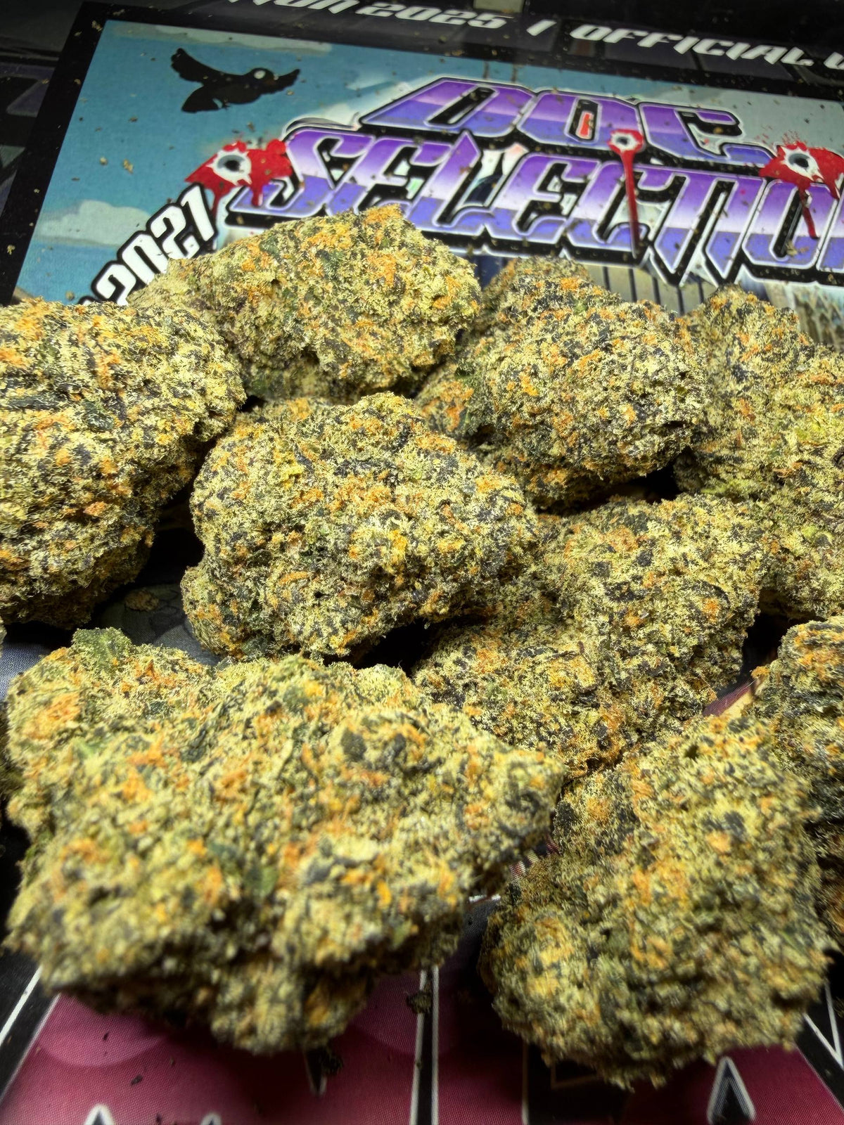 TROPICAL RUNTZ - Cali Imported Bufalo Plein