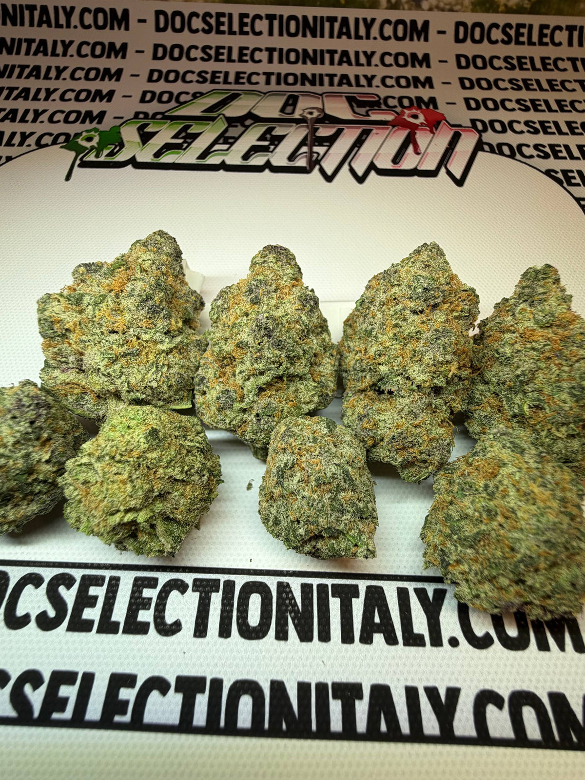 CHERRY BOOF - Cali Imported Bufalo Plein