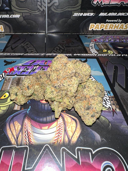 𝘾𝙖𝙡𝙞𝙛𝙤𝙧𝙣𝙞𝙖𝙣𝙖 𝙏𝙤𝙥 𝙏𝙚𝙧𝙥𝙨 𝘽𝙮 𝘽𝙪𝙛𝙖𝙡𝙤 𝙥𝙡𝙚𝙞𝙣 - 𝘾𝙃𝙀𝙍𝙍𝙔 𝙈𝘼𝙉𝙄𝘼