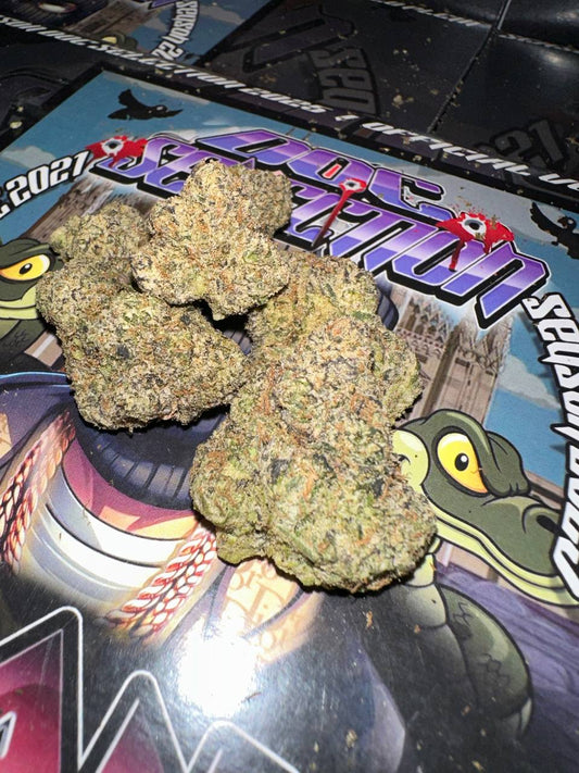 𝘾𝙖𝙡𝙞𝙛𝙤𝙧𝙣𝙞𝙖𝙣𝙖 𝙏𝙤𝙥 𝙏𝙚𝙧𝙥𝙨 𝘽𝙮 𝘽𝙪𝙛𝙖𝙡𝙤 𝙥𝙡𝙚𝙞𝙣 - 𝙁𝙄𝘿𝙀𝙇 𝙍𝙐𝙉𝙏𝙕