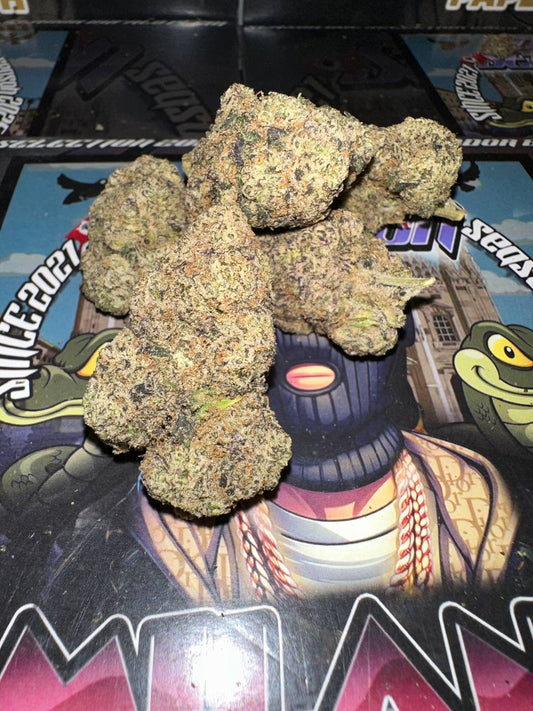 𝘾𝙖𝙡𝙞𝙛𝙤𝙧𝙣𝙞𝙖𝙣𝙖 𝙏𝙤𝙥 𝙏𝙚𝙧𝙥𝙨 𝘽𝙮 𝘽𝙪𝙛𝙖𝙡𝙤 𝙥𝙡𝙚𝙞𝙣 - 𝙏𝙍𝙊𝙋𝙄𝘾𝘼𝙇 𝙉𝙀𝙍𝘿𝙕