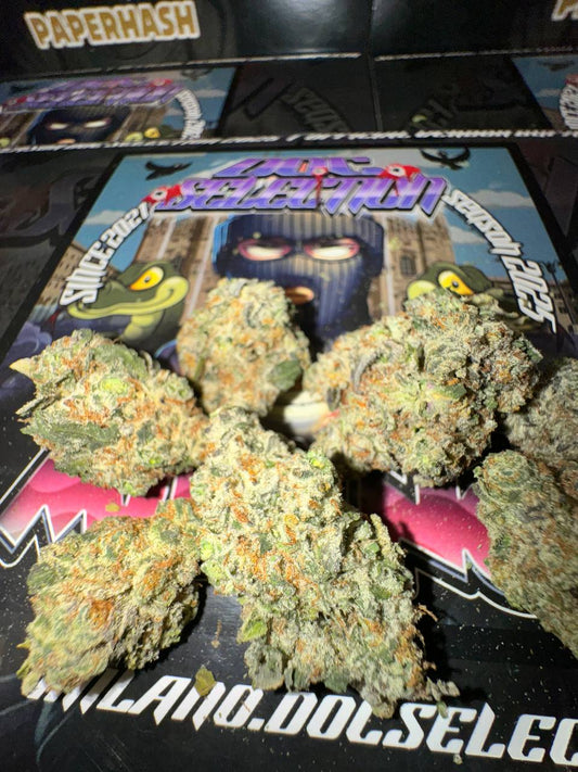 𝙏𝙤𝙥 𝙨𝙝𝙚𝙡𝙛 𝙘𝙖𝙡𝙞 𝙨𝙥𝙖𝙞𝙣 - 𝘾𝙃𝙀𝙈 𝘿𝘼𝙒𝙂 𝘾𝙃𝙀𝙍𝙍𝙔