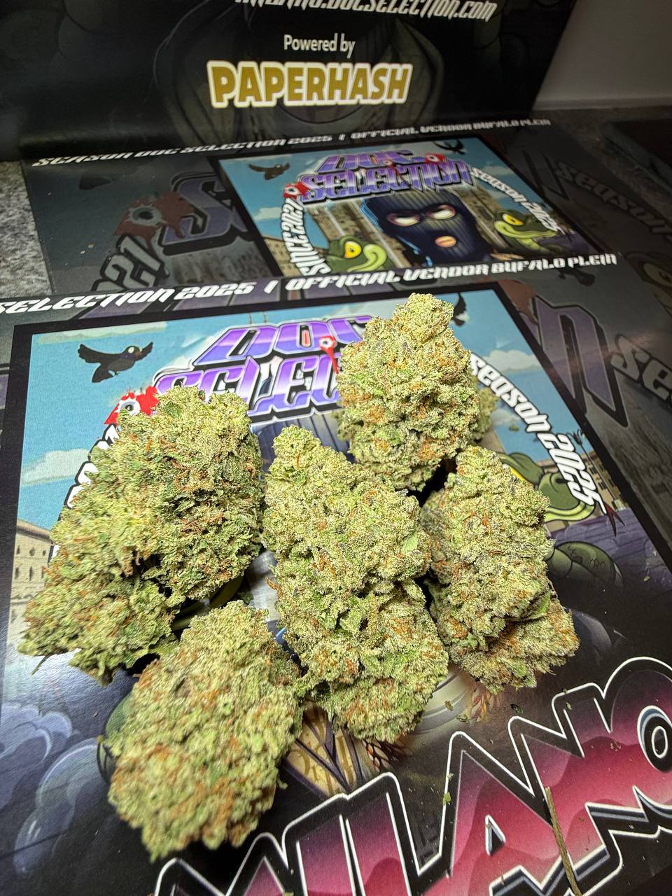 Cali Usa Medium shelf - Snoop dogg