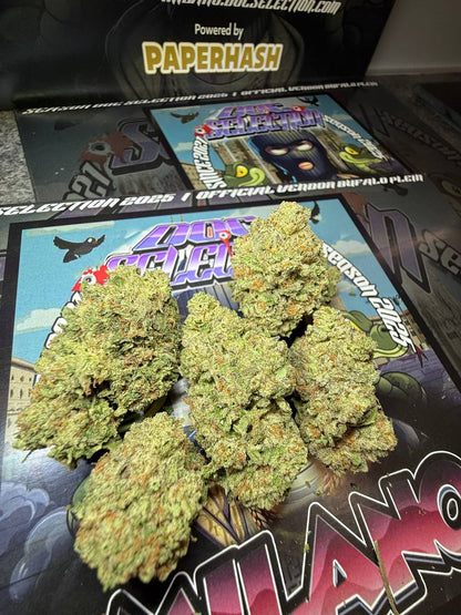 Cali Usa Medium shelf - Snoop dogg