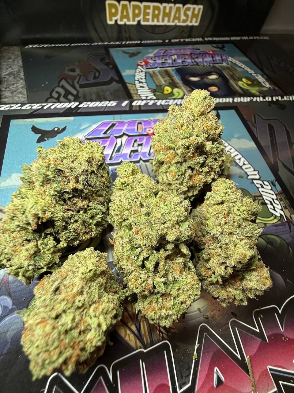 Cali Usa Medium shelf - Snoop dogg