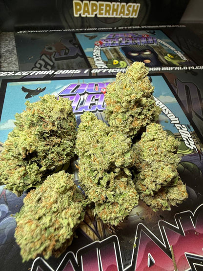 Cali Usa Medium shelf - Snoop dogg