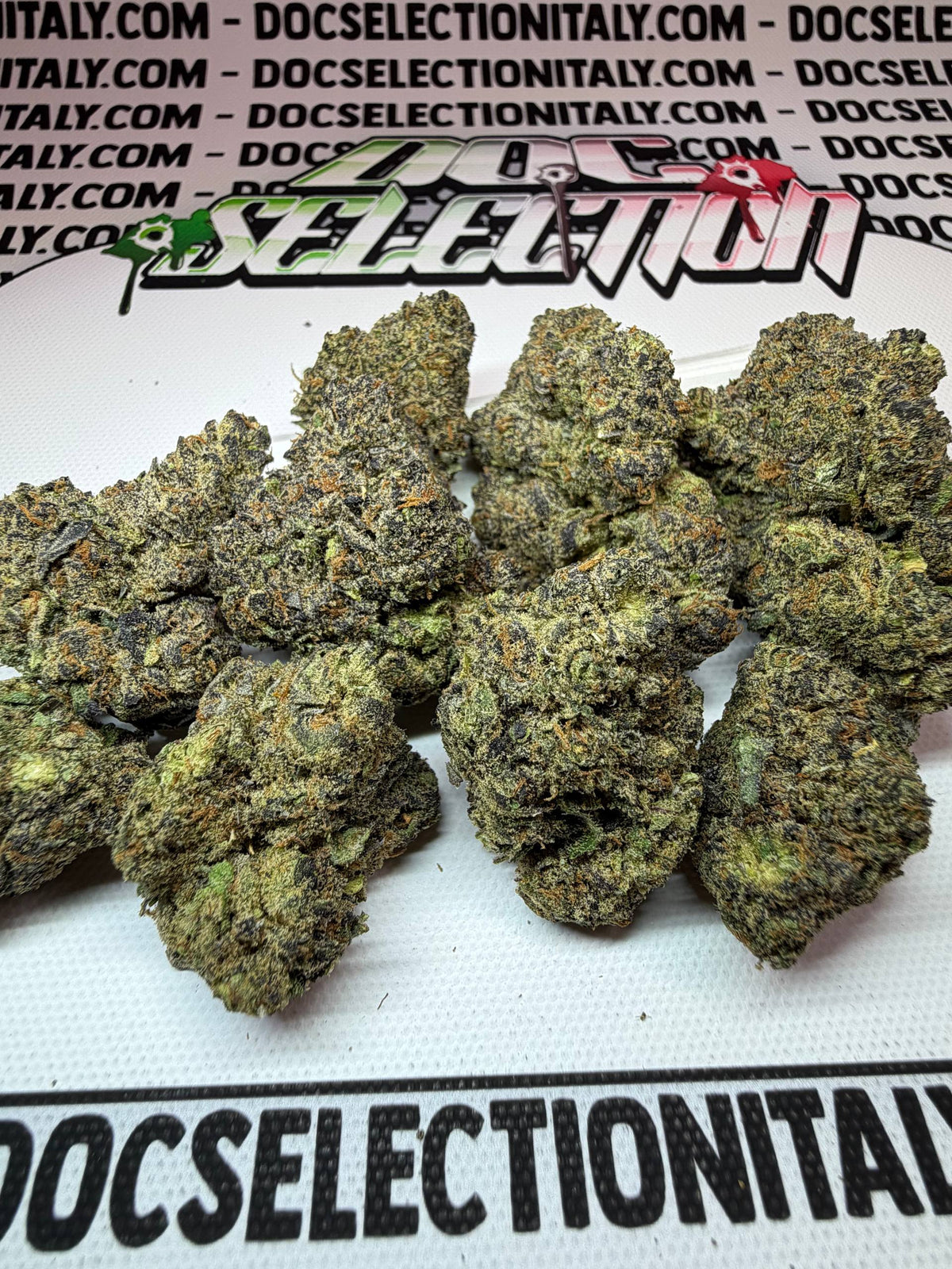 SHERBANGER X LAVA41 - TOP Californiana Farmaceutica